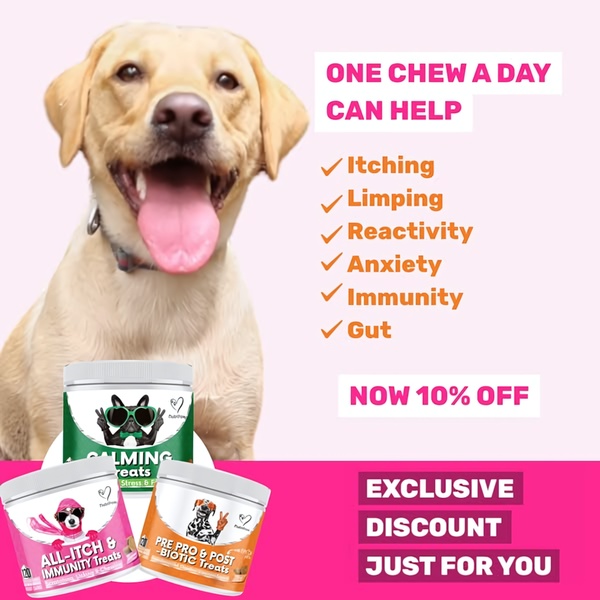 A clean, benefit-focused static ad displaying three dog supplement products next to a checklist of common pet health improvements.
